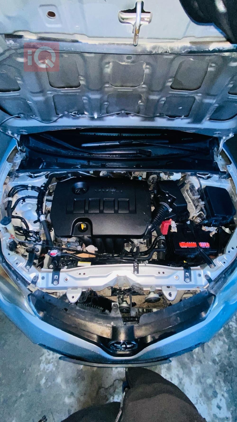 تويوتا كورولا